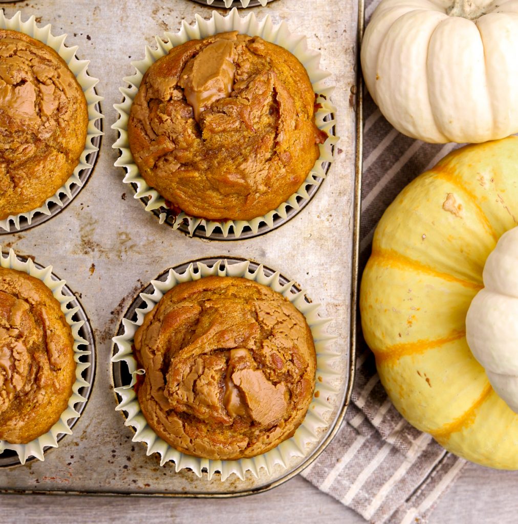 Pumpkin Biscoff Muffins