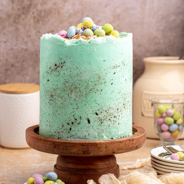 Robin Egg Blue Chocolate Chip Cake