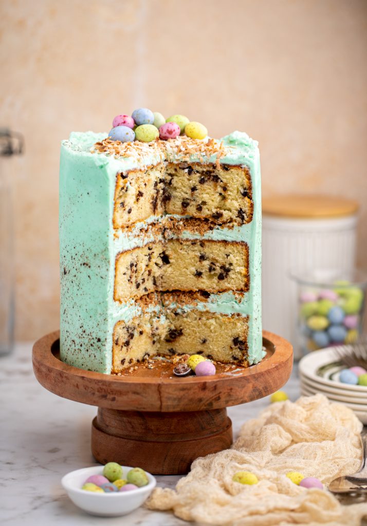 Robin Egg Blue Chocolate Chip Cake